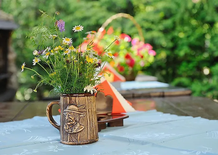 בית אירוח Marsjanka *